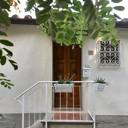 Rustico Rosmarino Villa Castiglion Fiorentino Eksteriør bilde