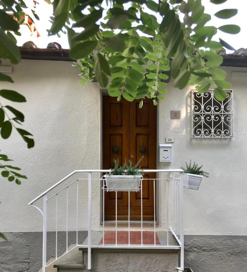 Rustico Rosmarino Villa Castiglion Fiorentino Eksteriør bilde
